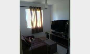 Imagem 2: Alpha class aruana