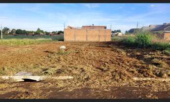 Imagem: TERRA NOVA - ROLANDIA/PR