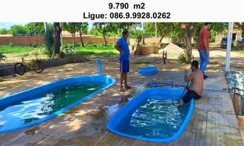 Imagem 1: Sitio na comunidade Carnaúba de Pedra – Timon-Ma