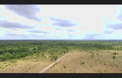 Imagem 2: 675 hectares terra pra gado no Pará próximo de Bragança