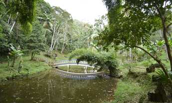 Imagem 4: Chácara à Venda em Juquitiba SP com Piscina, lago e bela casa!