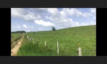 Imagem 6: Fazenda com 400 hectares no Pará sentido Bragança pronta por R$2,5 milhões