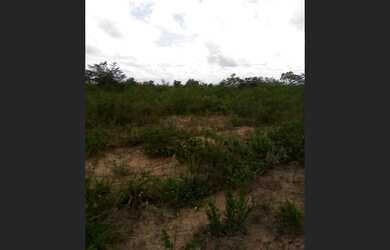 Imagem 5: Terreno Plano 17,5 Tarefas Biritinga-Ba