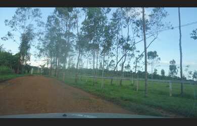 Imagem 3: Terreno alto de 1000m², de loteamento