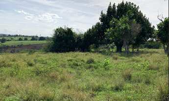 Imagem 4: Fazenda em Conceição do Jacuipe