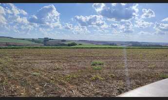 Imagem 7: Vende-se lote de terra ROXA entre Boa Esperança e Farol - 42,8 alqueires/103 hectares