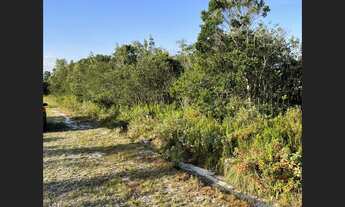 Imagem 7: Terreno em Itanhaém - R$ 12.000,00 de entrada + parcelas , direto com a loteadora