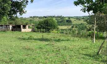 Imagem 7: Fazenda em Conceição do Jacuipe