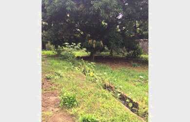 Imagem 2: Casa Custódio de Almeida