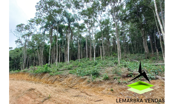 Imagem 4: Terreno a venda direto com o proprietário