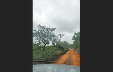 Imagem 2: Fazenda com 35 ha, Norte de Minas, possui documentação