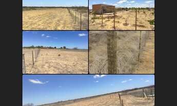 Imagem: Lote Para Chácara 4 min do asfalto Juazeiro