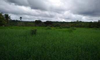Imagem: Fazenda com 200 hectares por 1,6 milhões