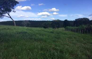 Imagem 4: Fazenda na região de Alagoinhas