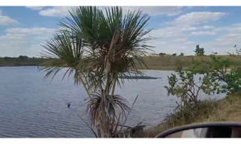 Imagem 2: 1.090 Alqs Dupla Aptidão Estado do Tocantins