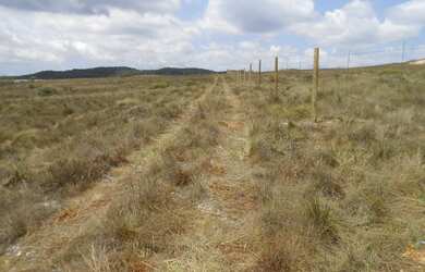 Imagem 6: Três hectares de paz e beleza na Serra do Intendente, com nascentes