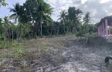 Imagem 3: Vendo terreno com 6 hectares- Engenho Monjope