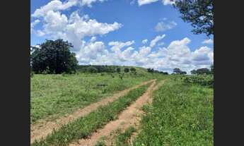Imagem 3: 111 Alqs Dupla Aptidão Rica em Água e Madeira Porto Nacional TO