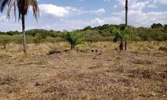 Imagem 4: Fazenda de 14 ha em Itaguara no Rio Para