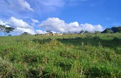 Imagem 6: Terreno de 50 há em Passa tempo MG