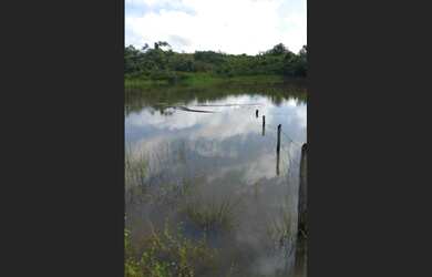 Imagem 2: Fazenda 440 alqueires R$1,7 milhões terra pra compensação ou reflorestamento