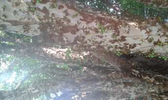 Imagem 5: Terreno à venda