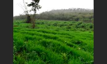 Imagem: Terreno para Empreendimentos em Filadélfia