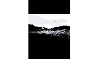 Imagem 5: Chacara a venda em Rio do Santo , Cascavel