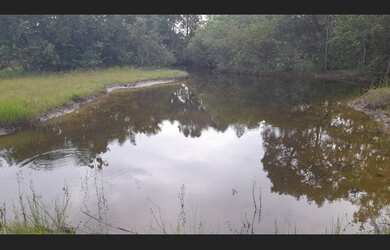 Imagem 2: Chácara no Setor aeroporto 2 Ribeirão