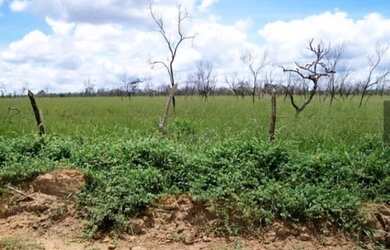 Imagem 6: Fazenda em morro do chapéu