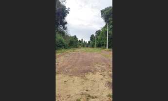 Imagem 6: Lote na estrada do Caldeirão próximo ao Jandira