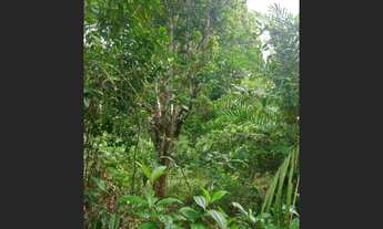 Imagem 4: Fazenda Cachoeira Boa Sorte