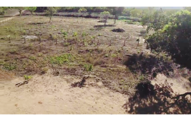 Imagem 4: 210 Alqs Plana Pra Soja boa d Água Região Palmeirópolis TO