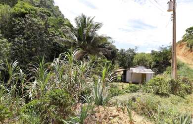 Imagem 2: Vendo chácara em Santa Leopoldina