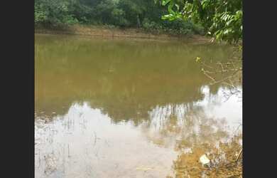 Imagem 5: Fazenda de 124 ha em Caetanópolis