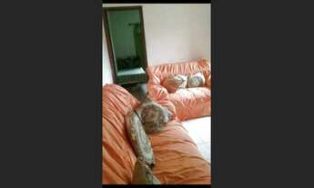 Imagem 5: CA1666 / LADO PRAIA Casa Residencial / Maracanã