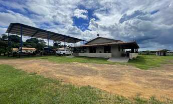 Imagem: Fazenda A Venda No Acará, PA 484 Hectares