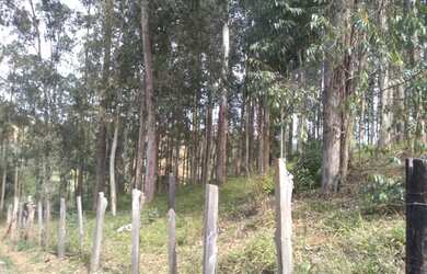 Imagem 5: Sítio 44.000m² muita água, com casa Sul de Minas Gerais