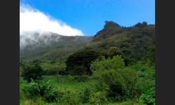 Imagem: Terreno com Ampla Área em Gavião - 17.100