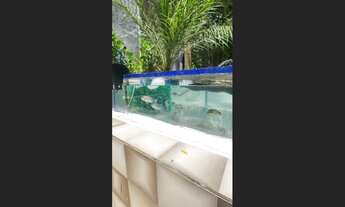 Imagem 5: Chácara a venda próxima de Parauapebas - Pá