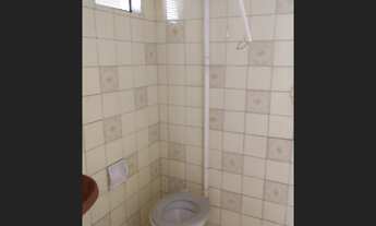 Imagem 5: VENDO!!! Uma chácara de 2.44 hectares na comunidade Mangueiral na região da praia grande