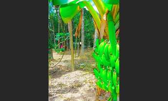 Imagem 3: Vendo ou troco chácara por casa em Lucas do Rio Verde