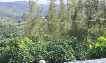 Imagem 7: Propriedade em Pombos PE