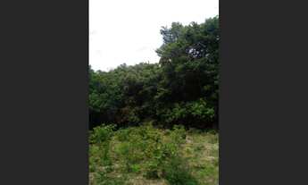 Imagem 3: 50 Alqs Abaixo do Valor Ótima em Tudo Região Dueré TO