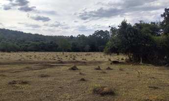 Imagem 4: Sitio 30 Alqueires Em São Carlos SP a Venda