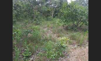 Imagem 6: 111 Alqs Dupla Aptidão Rica em Água e Madeira Porto Nacional TO