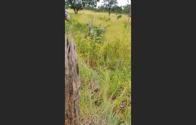 Imagem 2: 101 Alqs Dupla Aptidão Barro Cultura Região Pedro Afonso TO