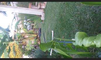 Imagem 5: Chácara, em local turístico