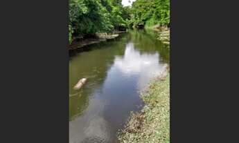 Imagem 6: 130 Alqueires por R$5 milhões a 45 km de Castanhal