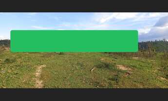 Imagem 6: 93 Alqs Ótima Água Terra e Logística Região Ipixuna PA